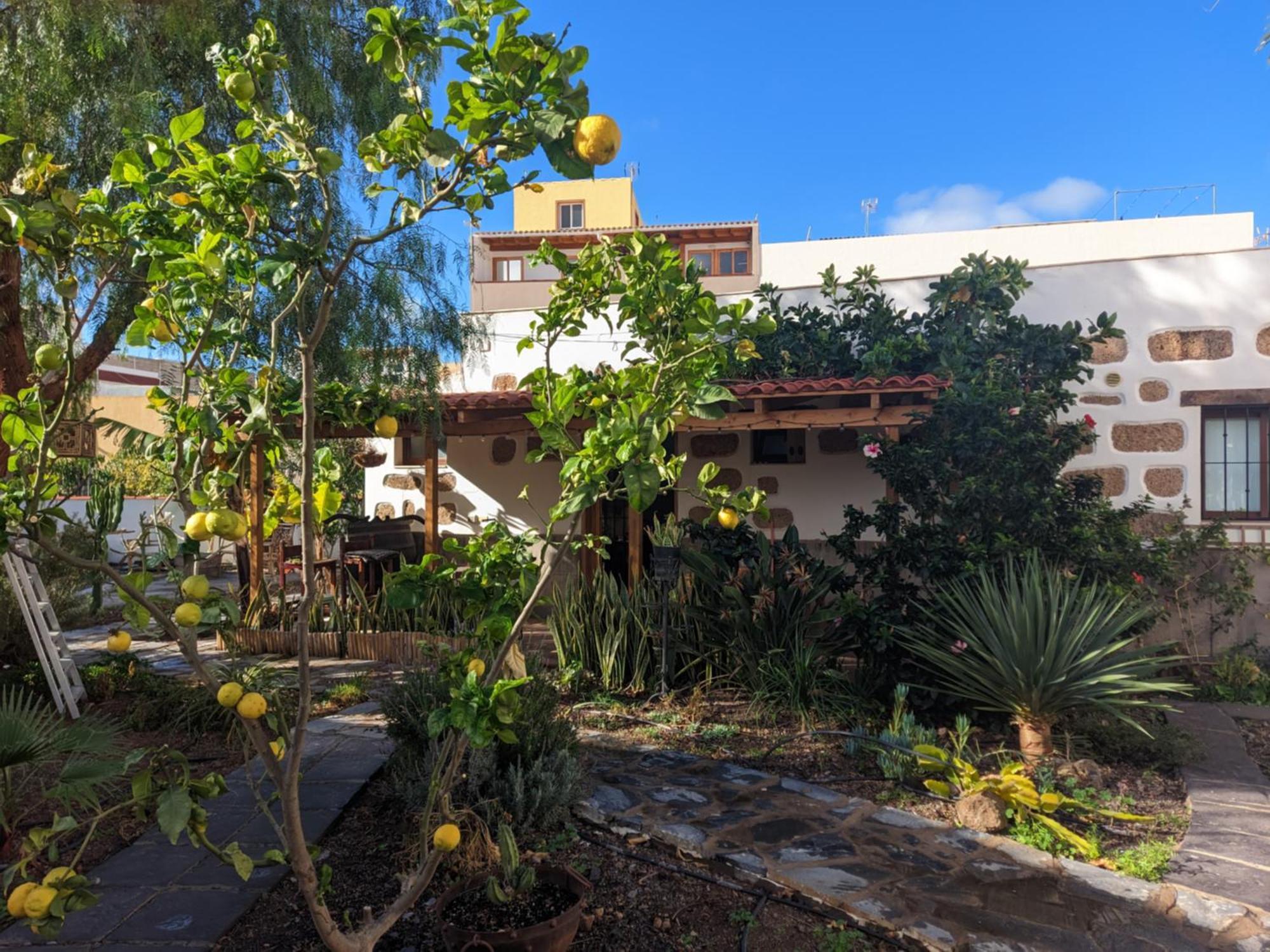 דירות ארונה Casa Roberta Fuego מראה חיצוני תמונה